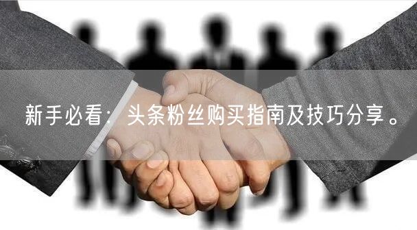 新手必看:头条粉丝购买指南及技巧分享。