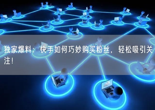 独家爆料:快手如何巧妙购买粉丝,轻松吸引关注!