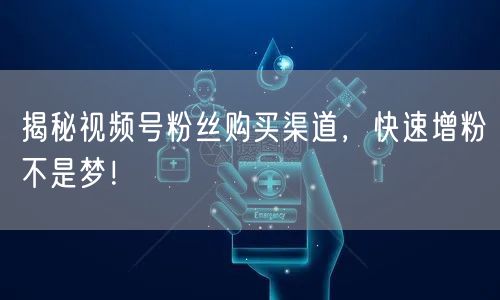 揭秘视频号粉丝购买渠道,快速增粉不是梦!