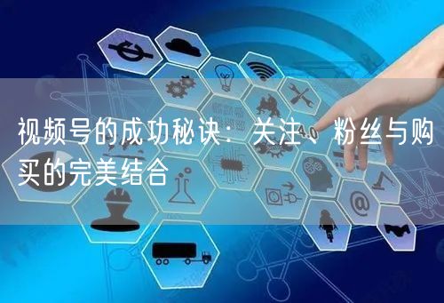 视频号的成功秘诀:关注、粉丝与购买的完美结合
