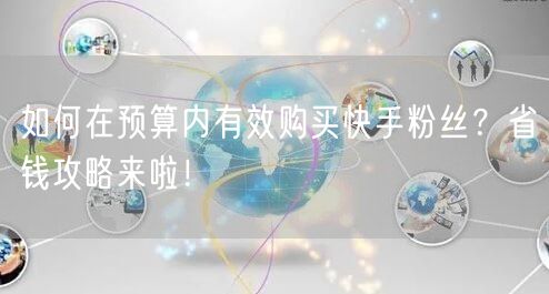 如何在预算内有效购买快手粉丝?省钱攻略来啦!