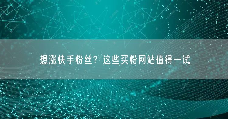 想涨快手粉丝?这些买粉网站值得一试