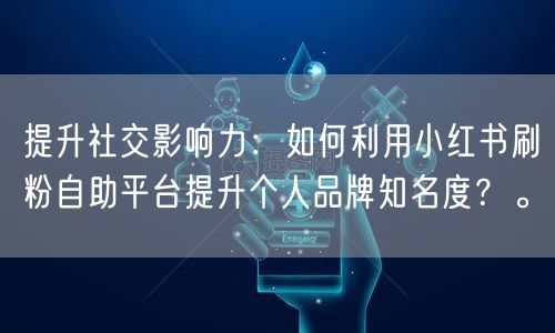 提升社交影响力：如何利用小红书刷粉自助平台提升个人品牌知名度？。