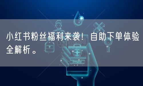 小红书粉丝福利来袭！自助下单体验全解析。