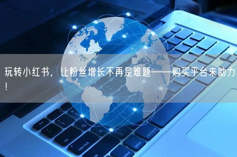 玩转小红书,让粉丝增长不再是难题——购买平台来助力!