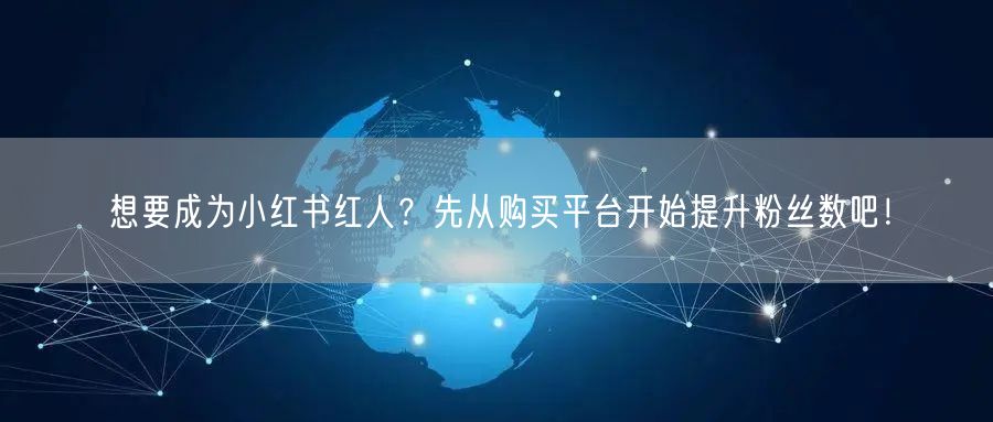 想要成为小红书红人?先从购买平台开始提升粉丝数吧!