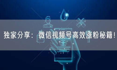 独家分享:微信视频号高效涨粉秘籍!