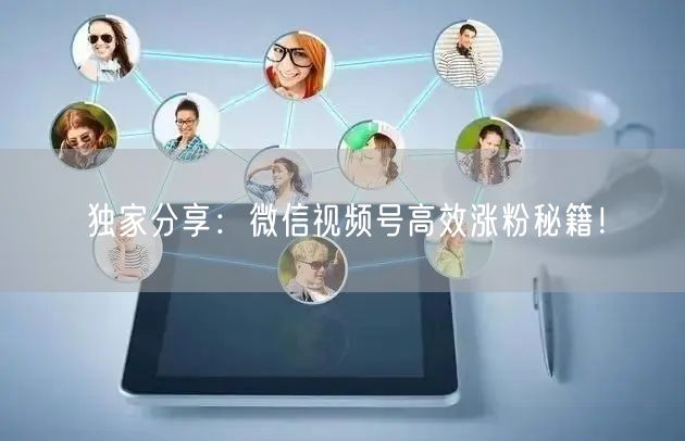 独家分享:微信视频号高效涨粉秘籍!