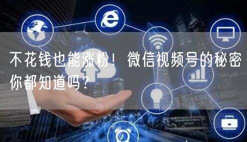 不花钱也能涨粉!微信视频号的秘密你都知道吗?