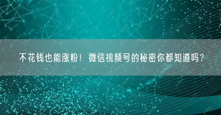 不花钱也能涨粉!微信视频号的秘密你都知道吗?