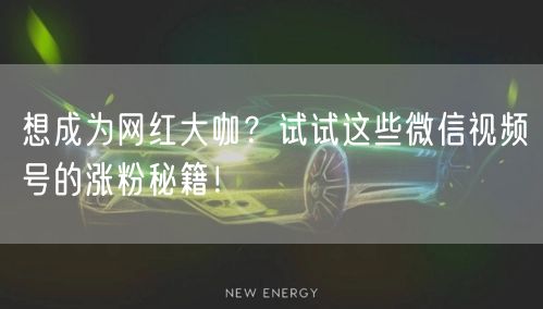 想成为网红大咖？试试这些微信视频号的涨粉秘籍！