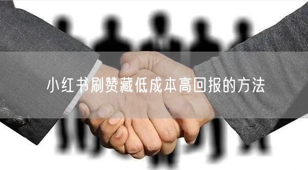 小红书刷赞藏低成本高回报的方法